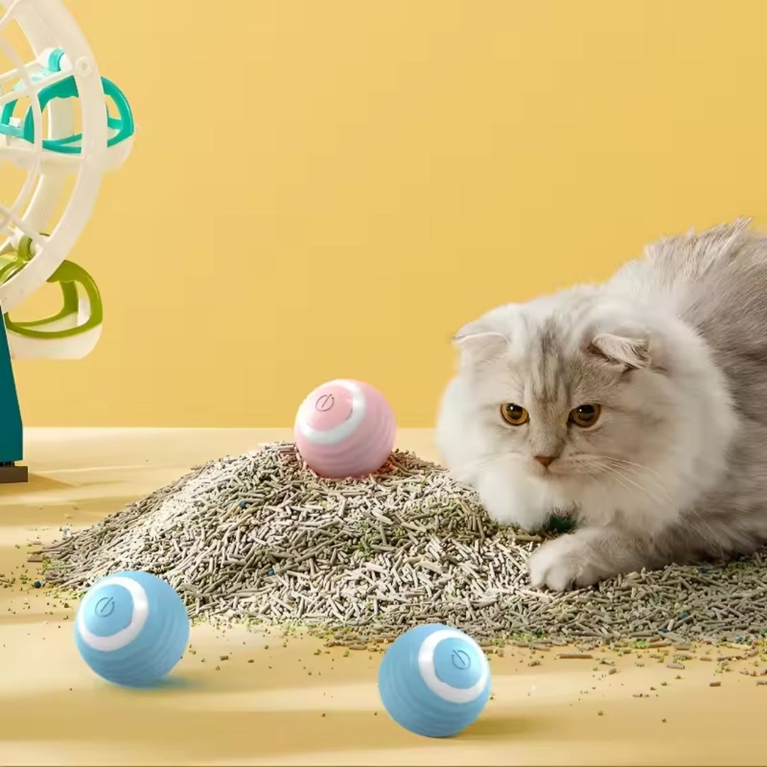 PawSpin™ Reduce el estrés de tu michi