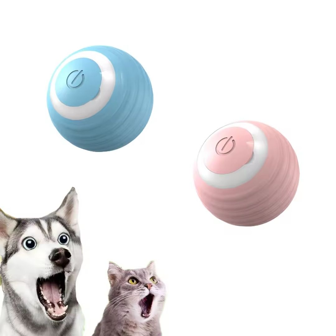PawSpin™ Reduce el estrés de tu michi