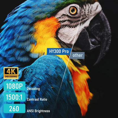 FusionPlay 300™📽️