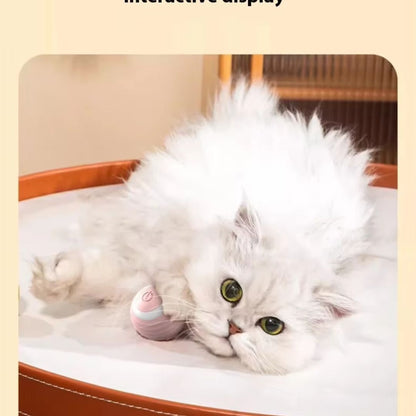 PawSpin™ Reduce el estrés de tu michi