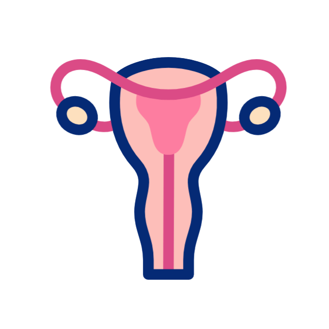 🌸ROMPEQUISTES  Tratamiento Natural de 30 Días para tu Salud Femenina